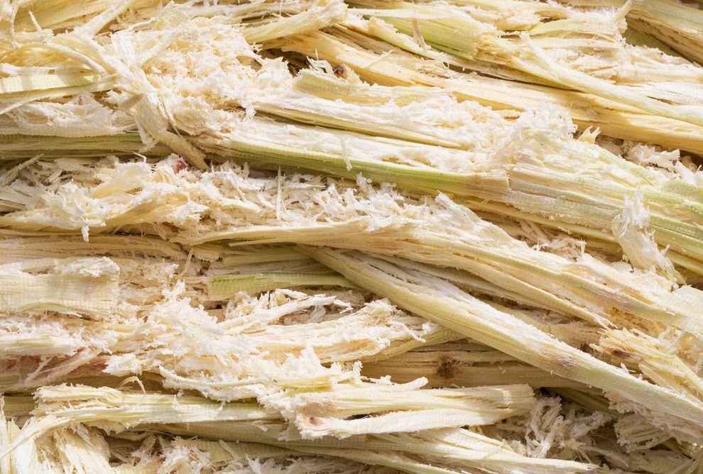 Benefits of Using Bagasse Tableware