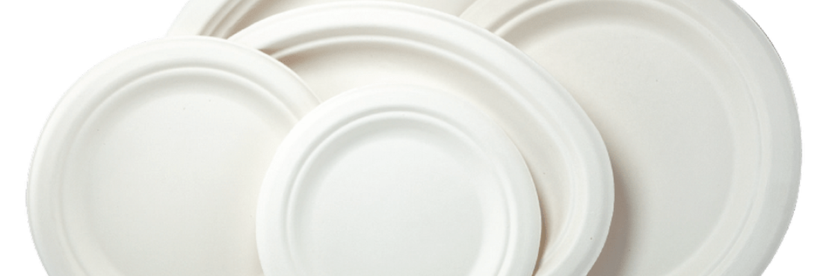 What Are The Environmental Impacts Of Sugarcane Plates