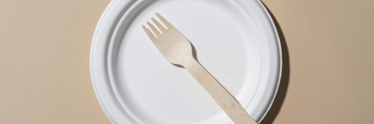Sugarcane Plates: A Sustainable Tableware Solution