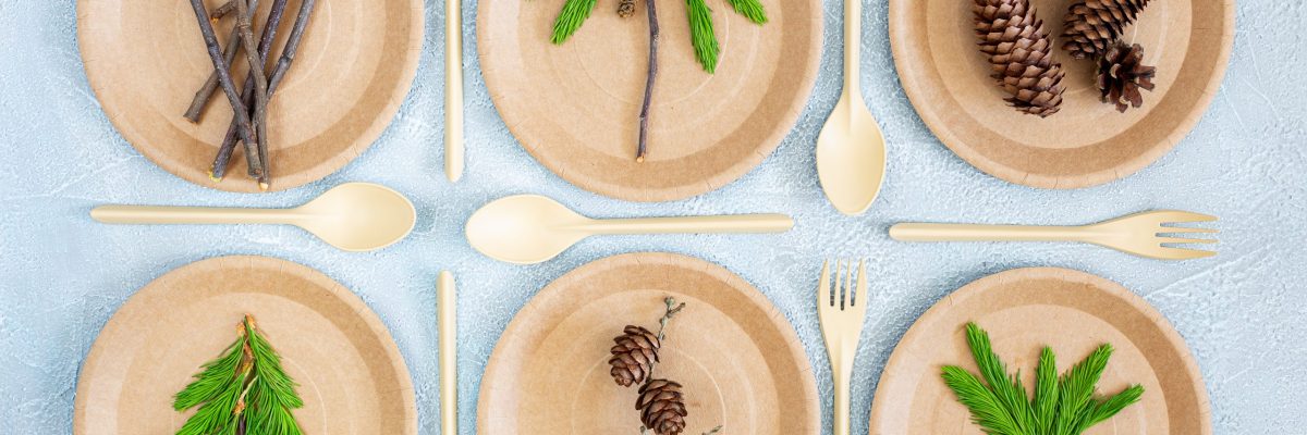 What Happens to Sugarcane Plates After Use